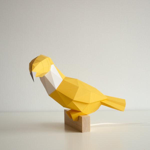 Toucan DIY Paperlamp Kit