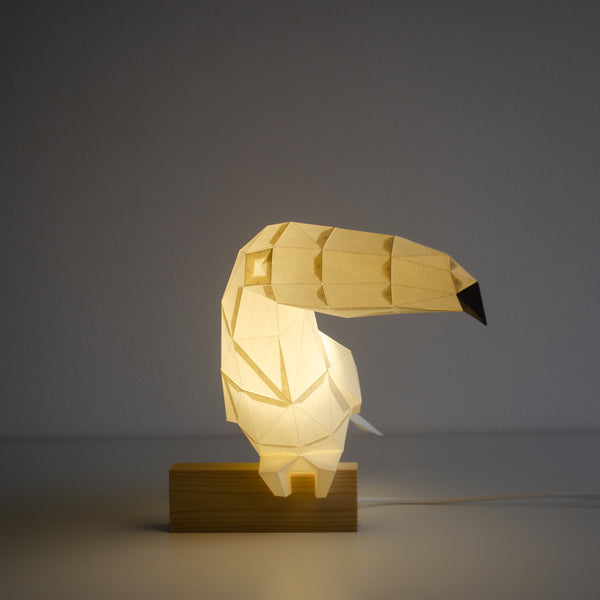 Toucan DIY Paperlamp Kit