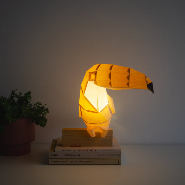 Toucan DIY Paperlamp Kit