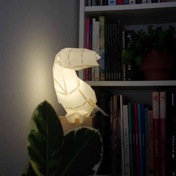 Toucan DIY Paperlamp Kit