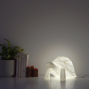 Tortoise Paperlamp in Cotton White